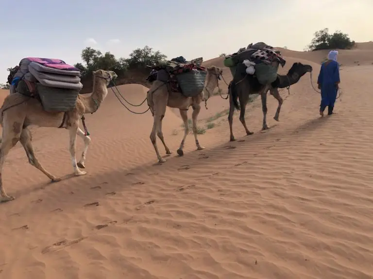 Desert Trekking in Morocco