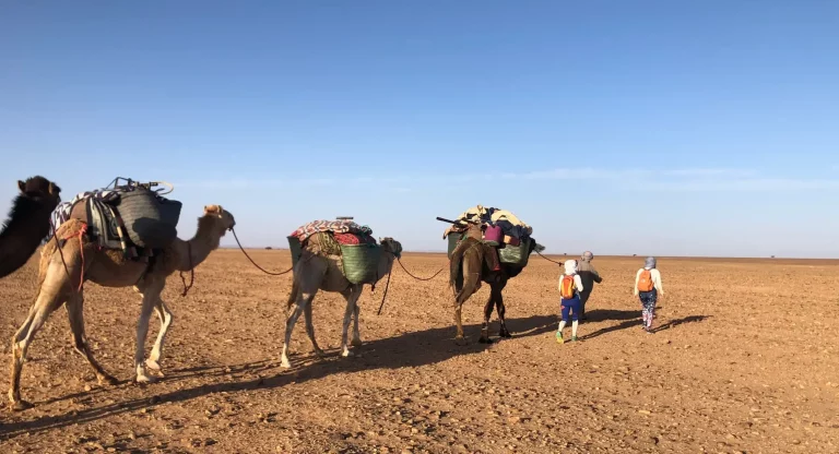 Desert Trip In mhamid Morocco