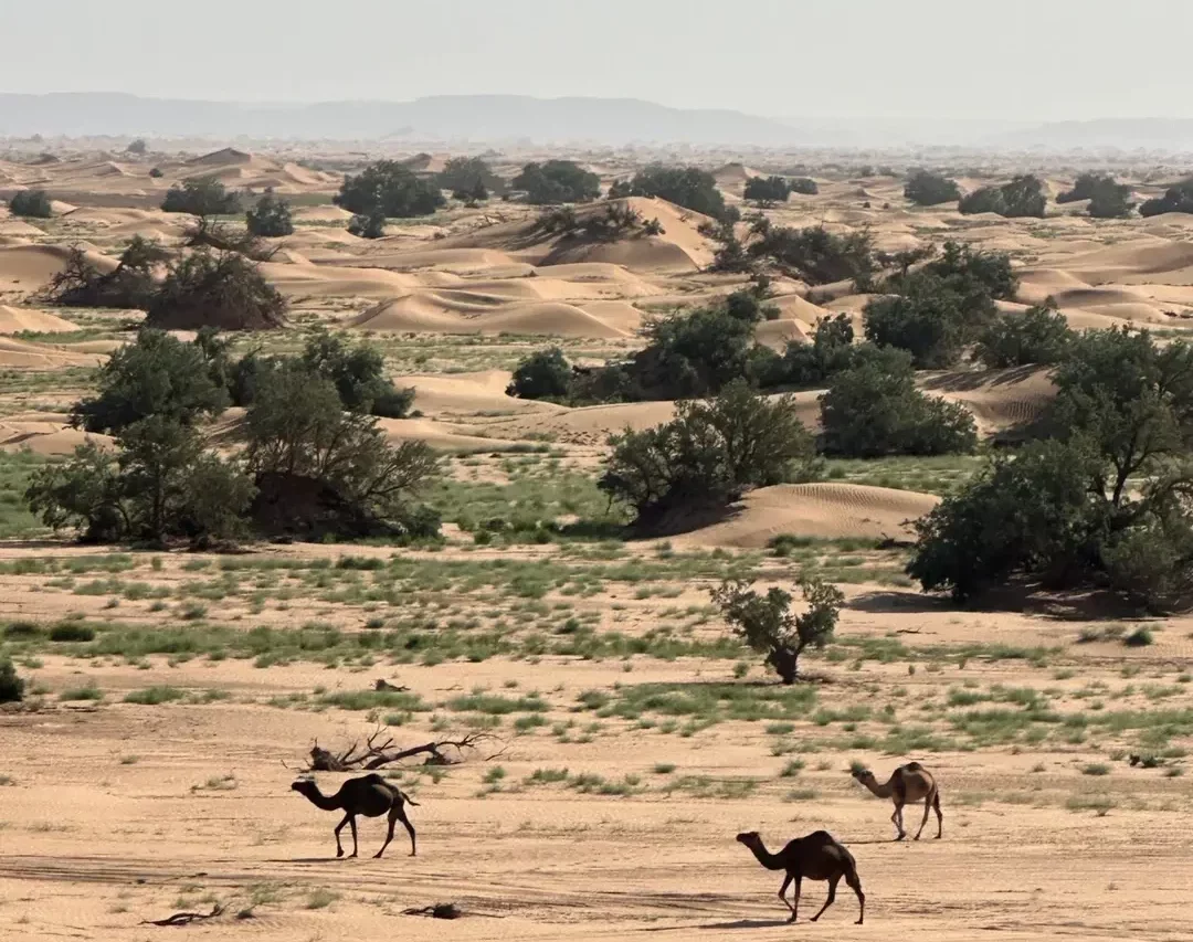 Desert landscape Morocco