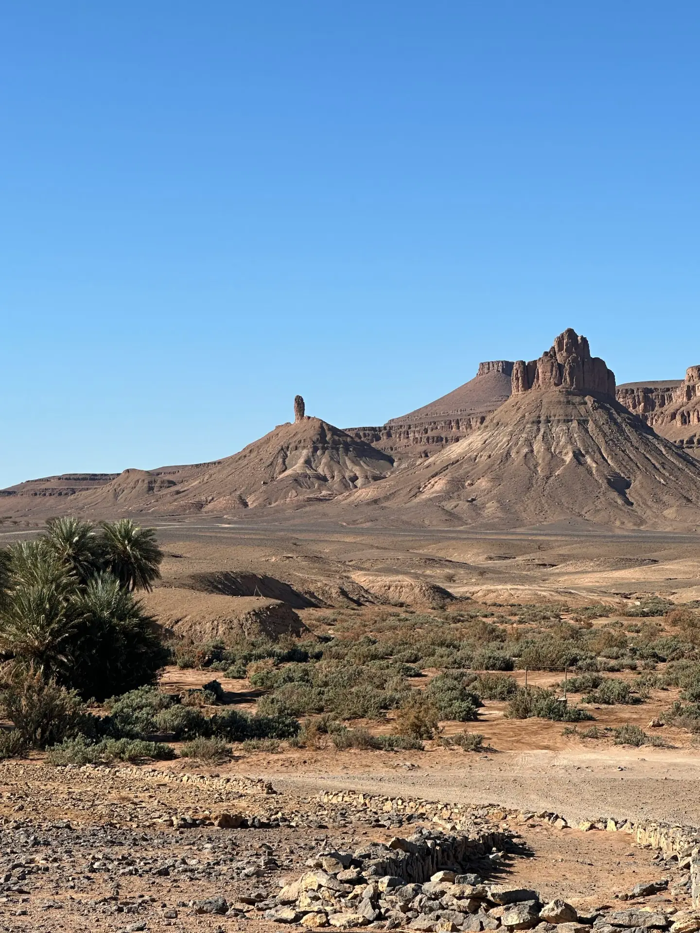 Oasis in desert