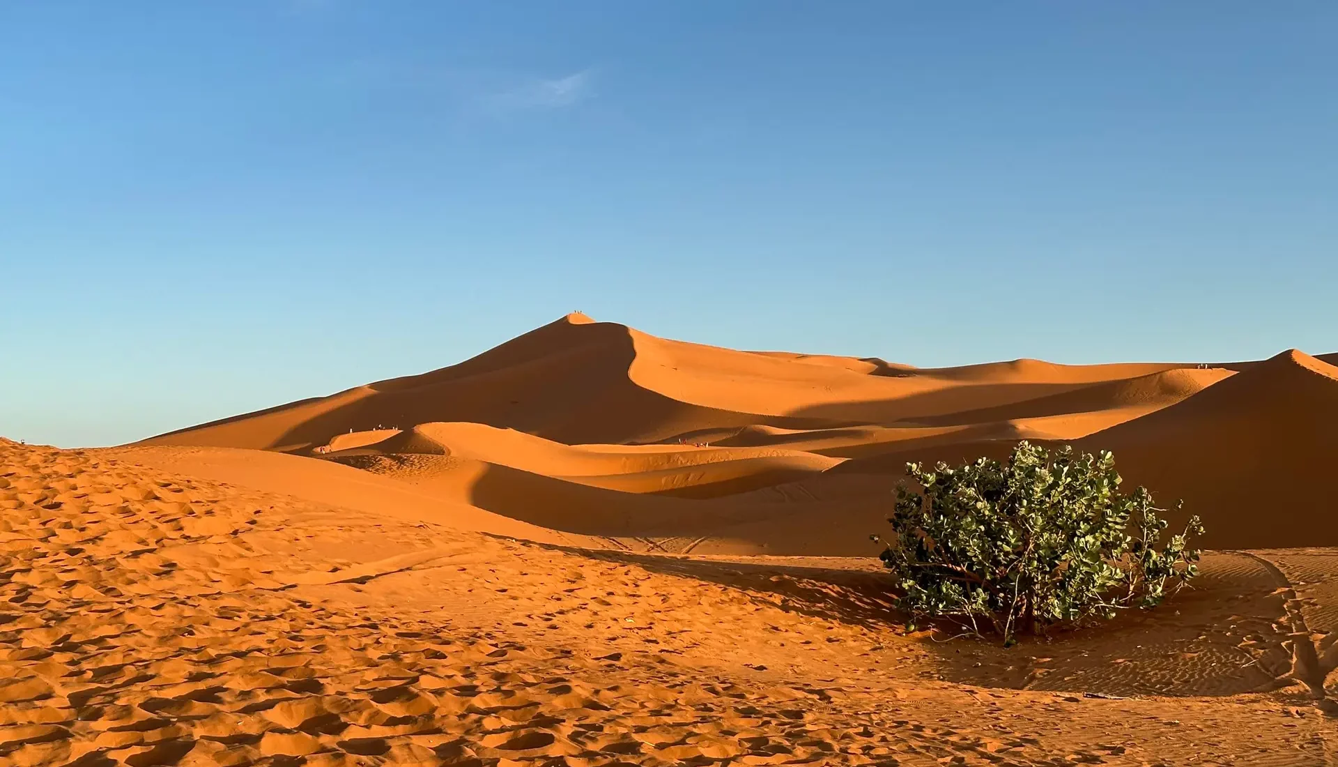 The desert tours in Morocco with Sahara in the background