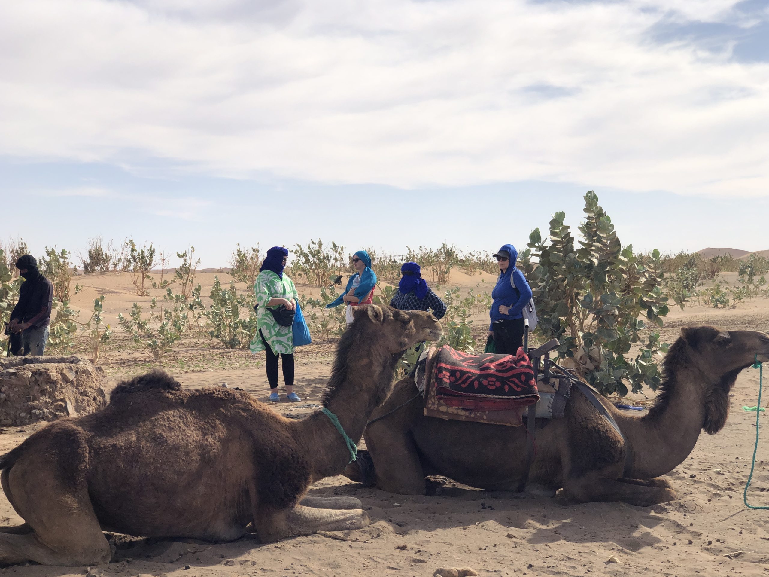 Authentic desert tour from Marrakech