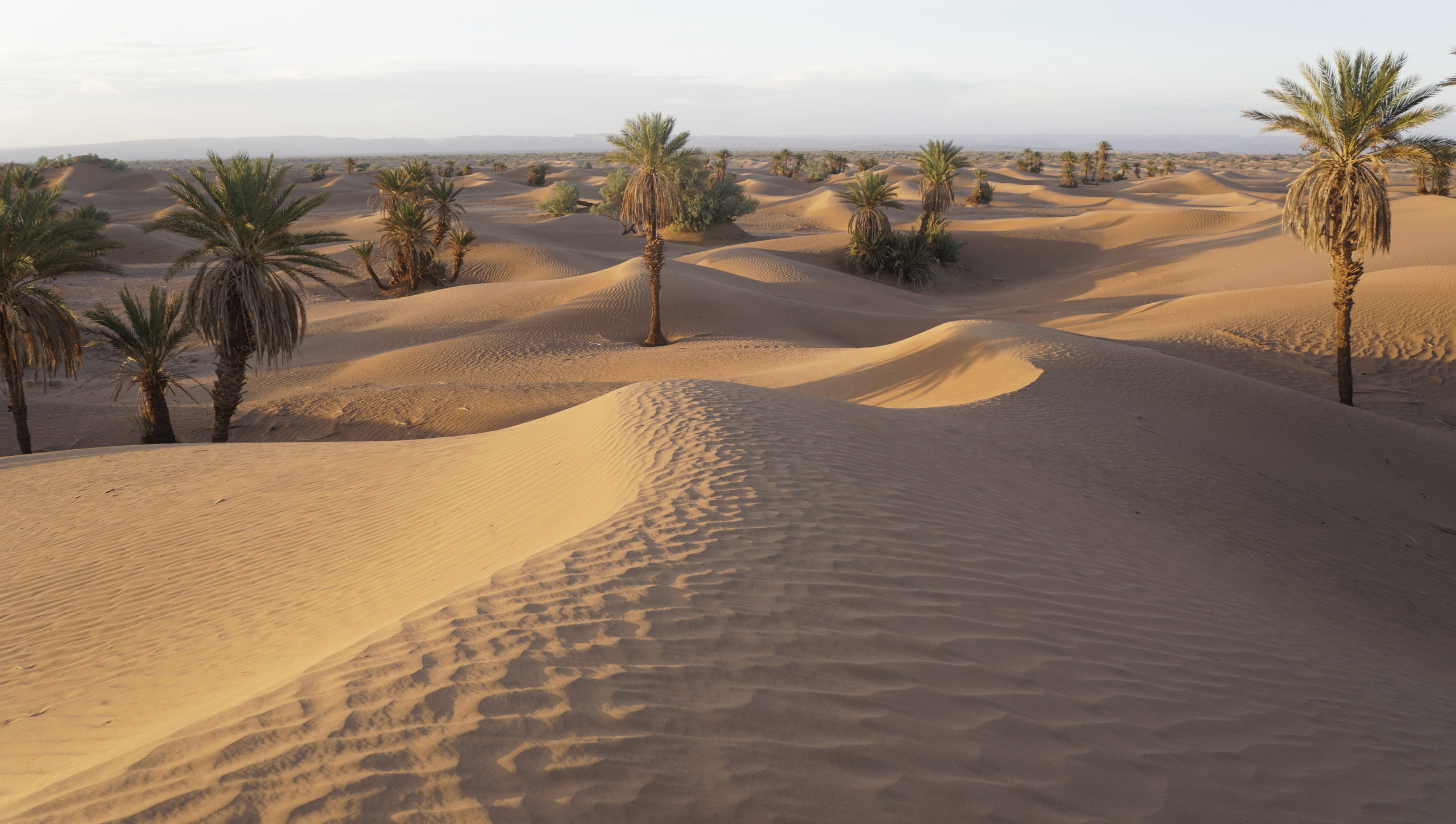 Desert Morocco